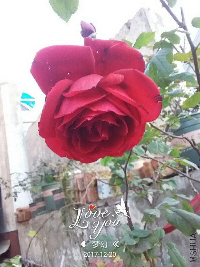 QQͼƬ20171220085933.jpg