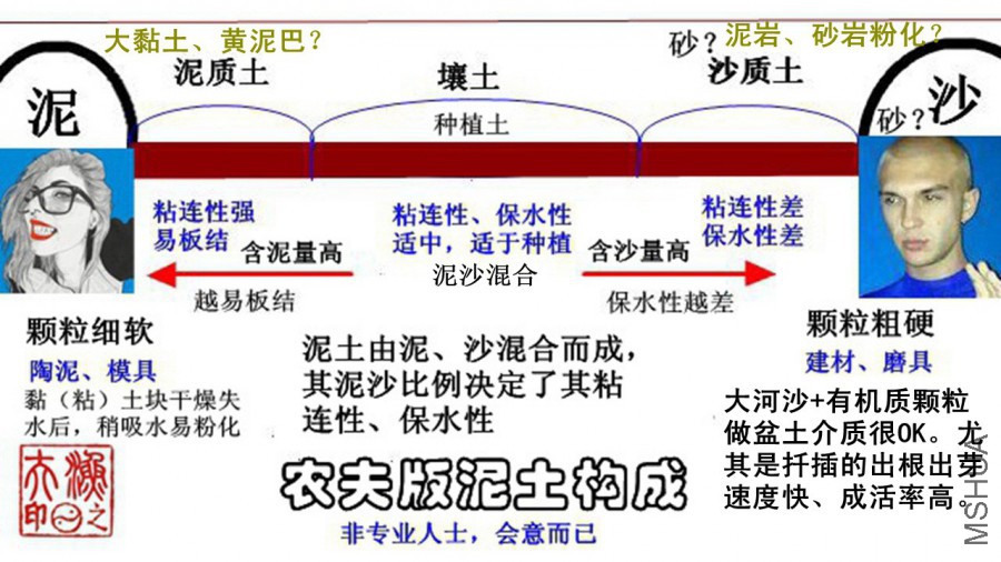 A01.jpg