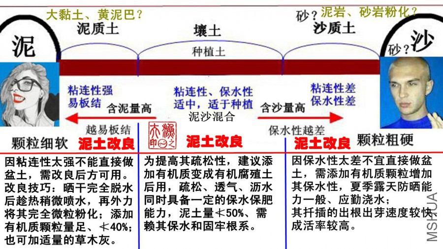 A03.jpg
