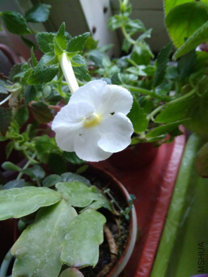 2b8096f95d598267.jpg