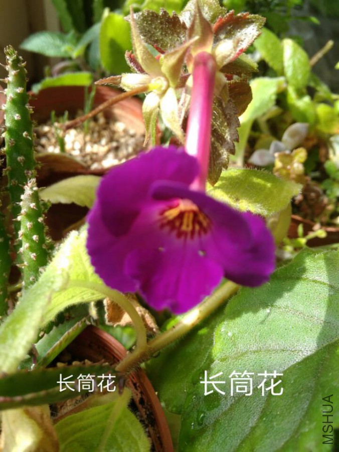 -414eef0c1767b407.jpg
