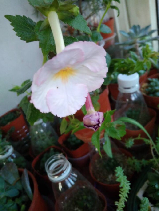 3de22b904586e491.jpg