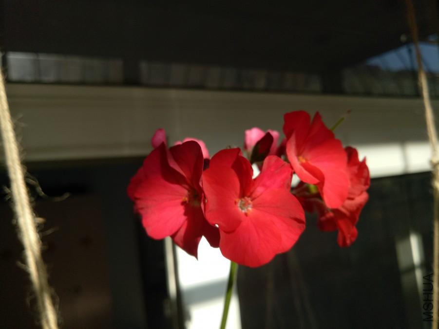 IMG20171222123734.jpg