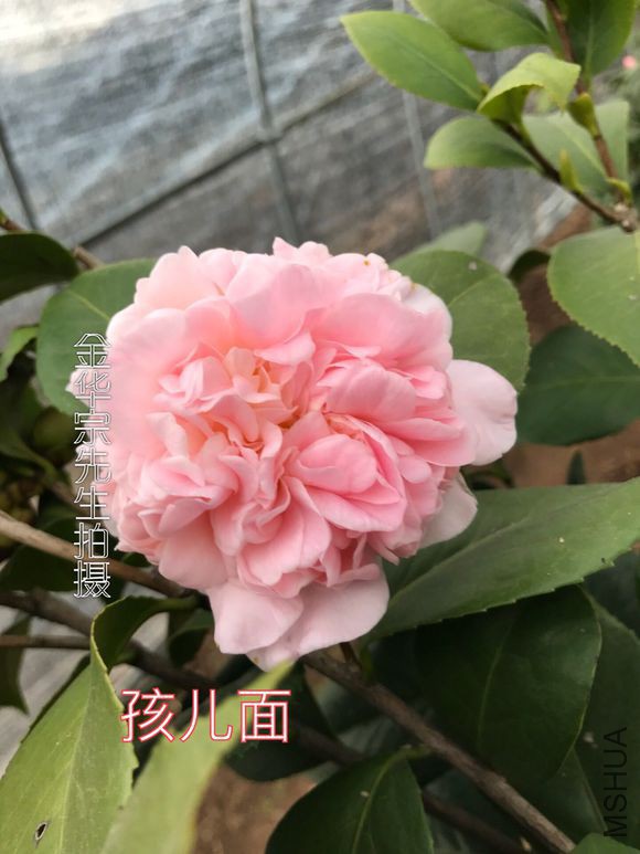 0ef41bd5ad6eddc44989340232dbb6fd536633d8.jpg