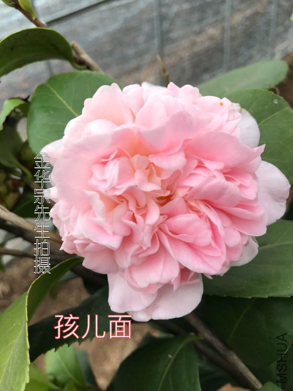 ab64034f78f0f7369790ccf80155b319eac413d8.jpg