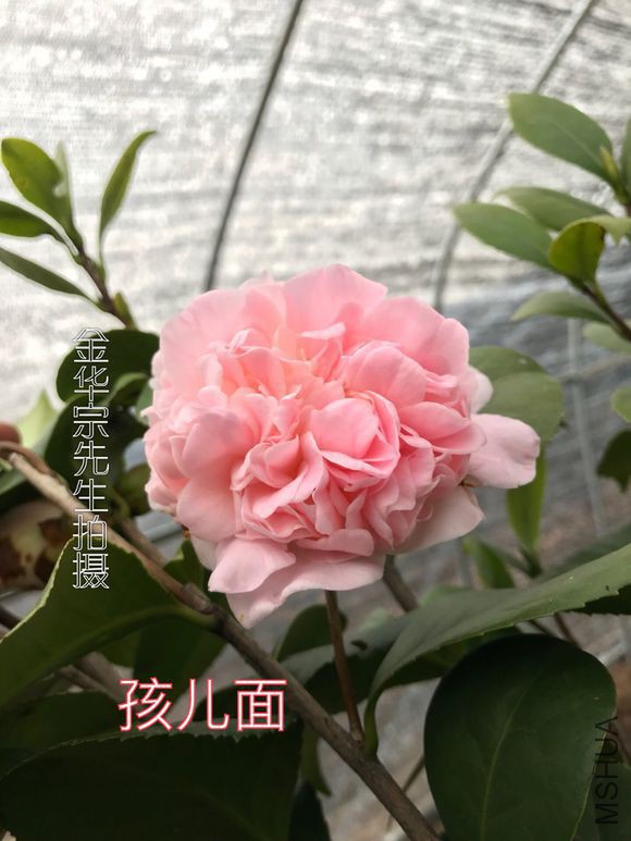 b3de9c82d158ccbf86d035c312d8bc3eb03541df.jpg
