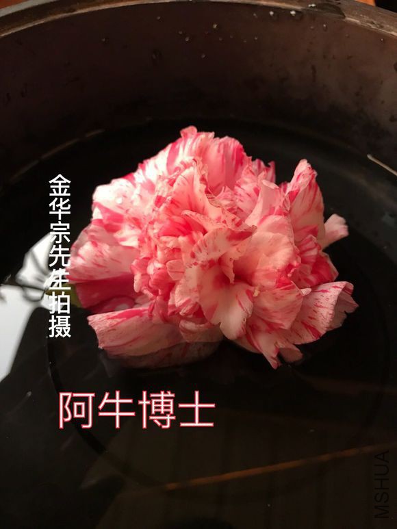 b899a9014c086e067473a6b209087bf40bd1cb74.jpg