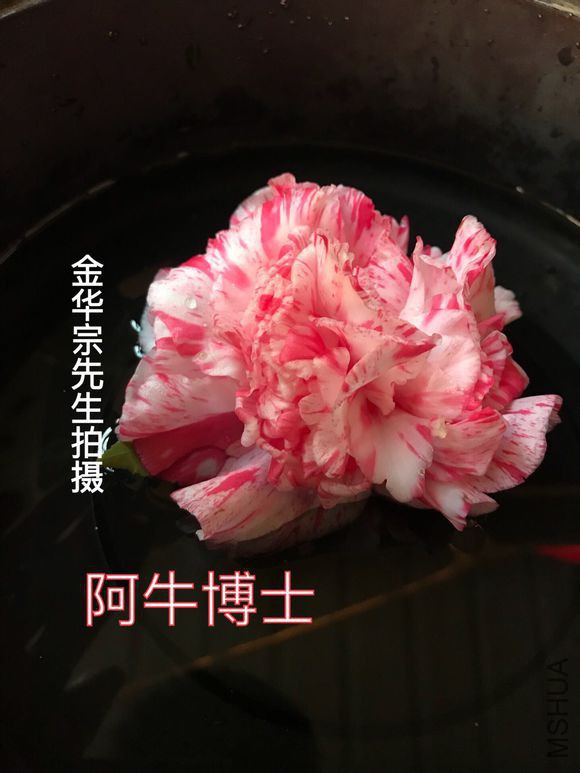 6709c93d70cf3bc795905415da00baa1cc112ab2.jpg