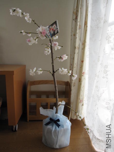 img55866973.jpg