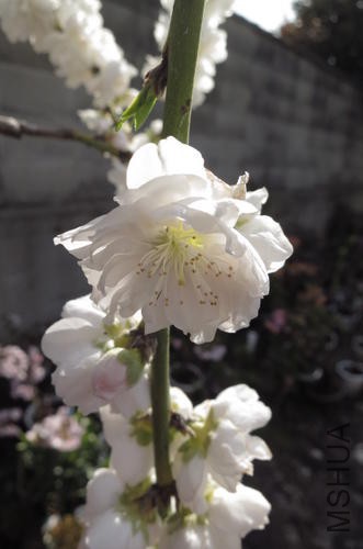 img60297289.jpg