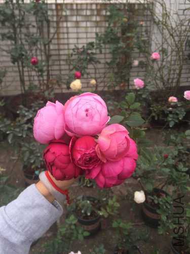DC824054-A2DB-4968-9822-00153C28F4CF.jpeg