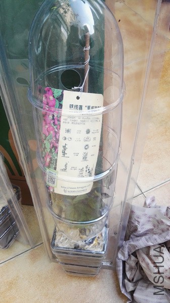 ��װ������