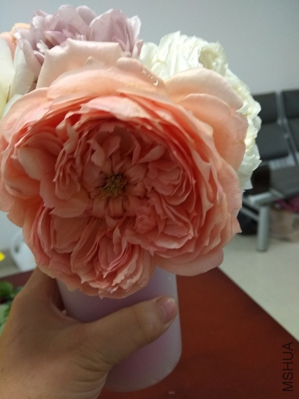 ���棬���䣬Ŧ����