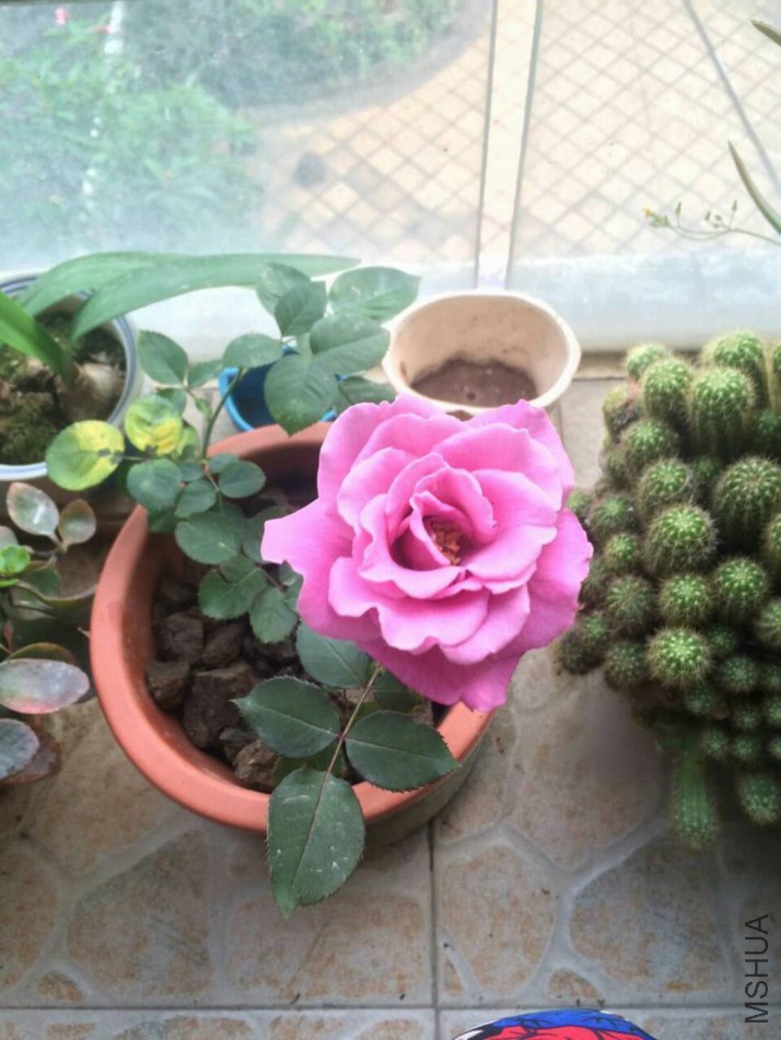 ΢��ͼƬ_20171228122611.jpg