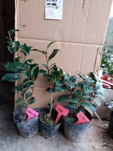 20171230_140347.jpg