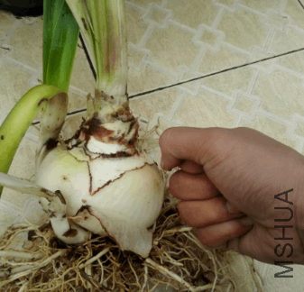 2017-12-30 16_38_18-IMG_20171230_145459.jpg - Photos.png