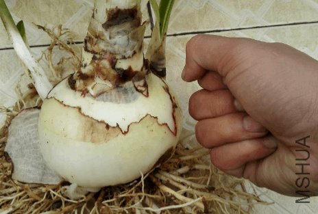 2017-12-30 16_40_15-IMG_20171230_145512_mh1514621980259.jpg - Photos.png