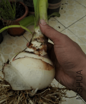 2017-12-30 16_40_59-IMG_20171230_145526.jpg - Photos.png