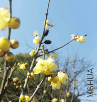 2017-12-30 16_49_08-IMG_20171220_101246.jpg - Photos.png