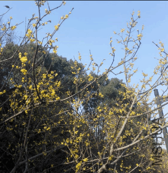 2017-12-30 16_49_26-IMG_20171220_095530.jpg - Photos.png