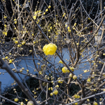 2017-12-30 16_49_42-IMG_20171220_090648.jpg - Photos.png