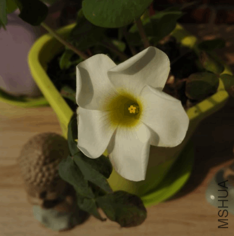 2017-12-30 16_52_19-IMG_20171224_121046.jpg - Photos.png