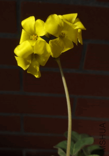 2017-12-30 16_53_11-IMG_20171225_123338.jpg - Photos.png