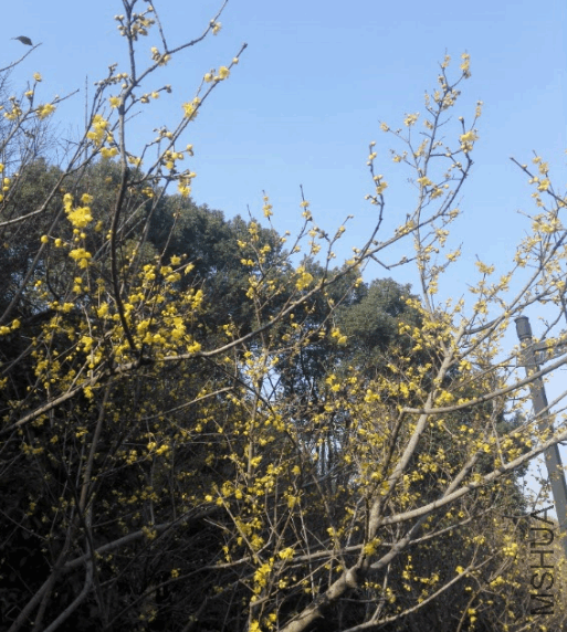 2017-12-30 17_29_32-IMG_20171220_095530.jpg - Photos.png