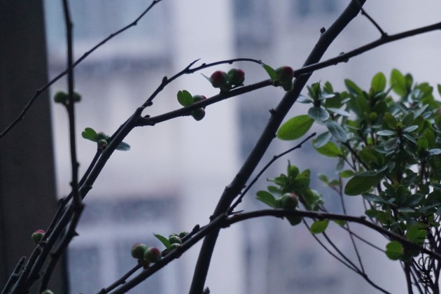 DSC00675_�༭.jpg