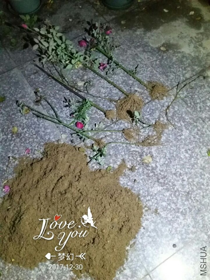 QQͼƬ20171231085545.jpg