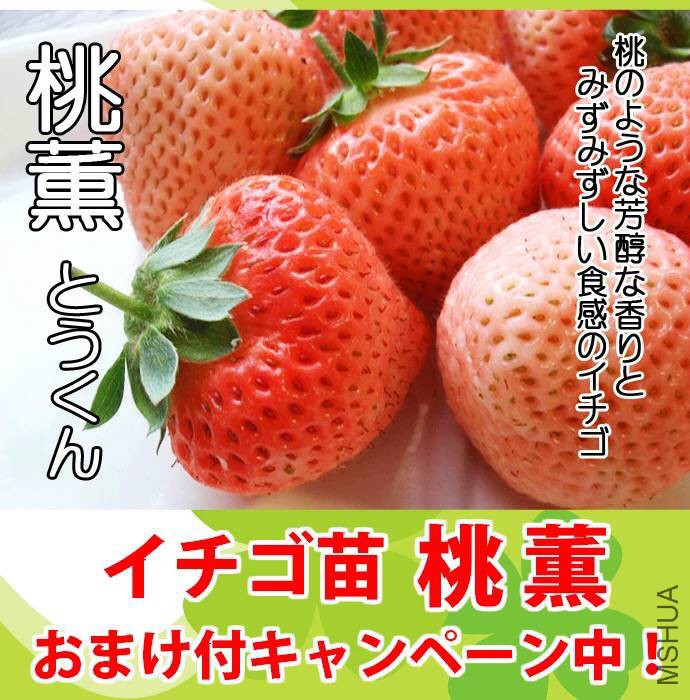 63279D0C5A7B14AF354745F8EA37971C.png
