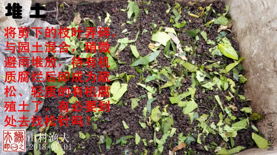 C01.jpg