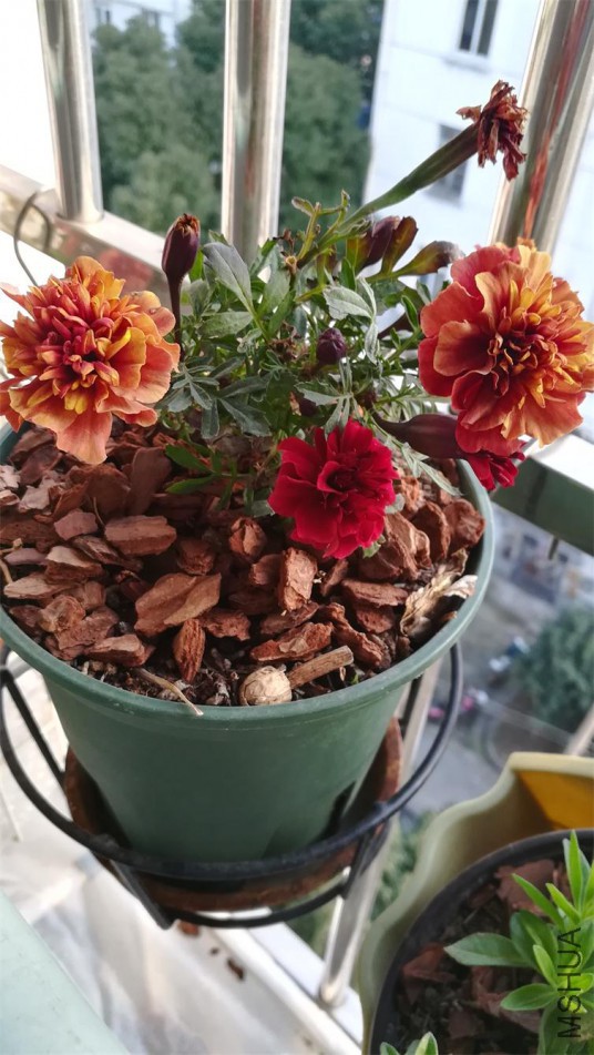 �𷢲�ݮŮ�� (3).jpg