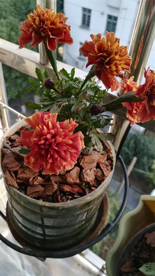 �𷢲�ݮŮ�� (6).jpg