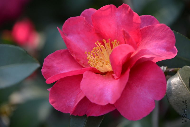 DSC_47280024.JPG