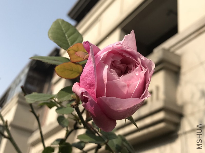 ���ɾ���