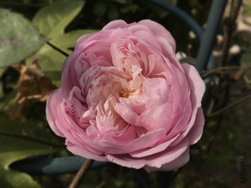 ���ɾ���