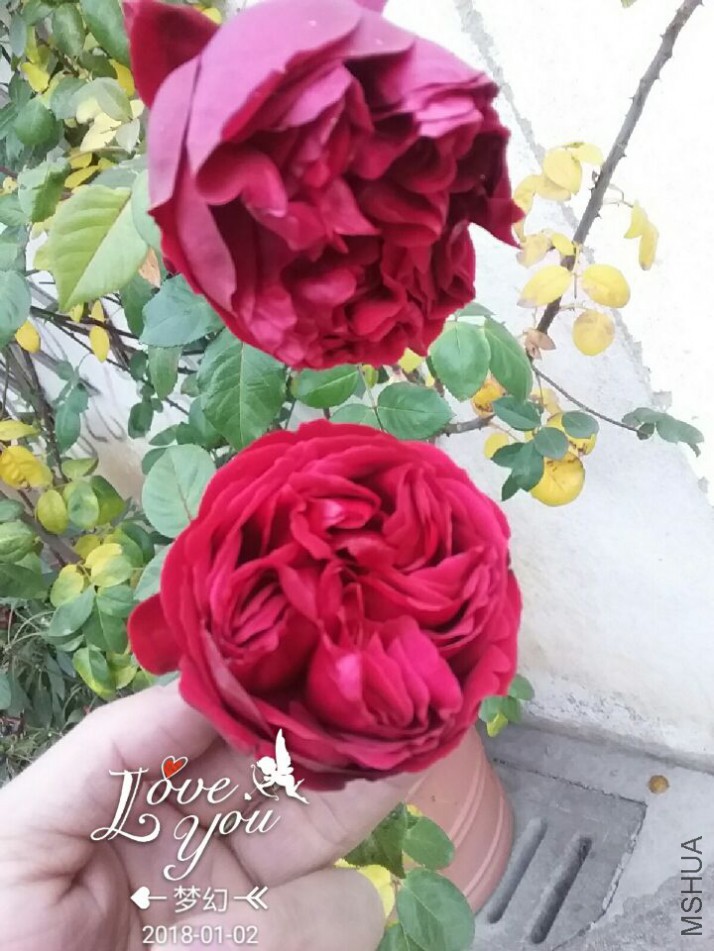QQͼƬ20180102161557.jpg