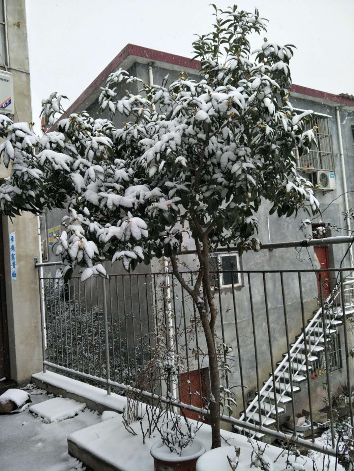ѩ2.jpg