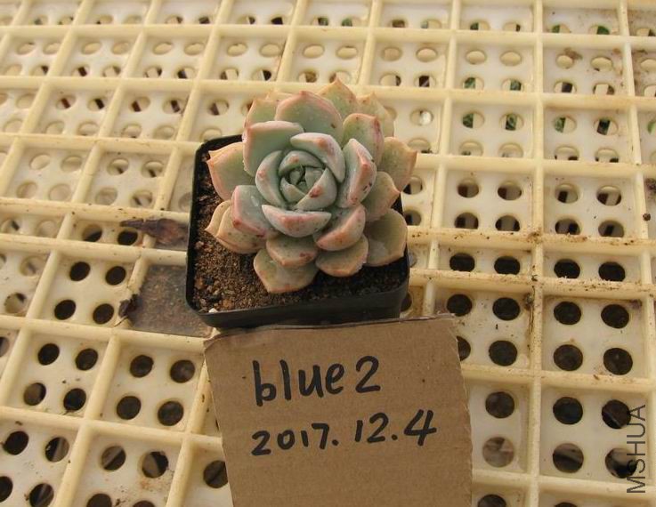222152sz6te60ztltp9pph.jpg