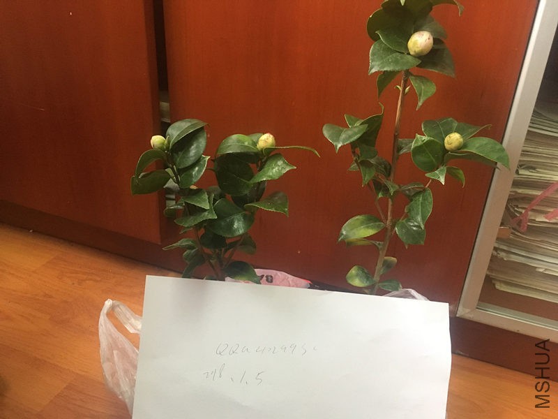 QQͼƬ20180105140213.jpg