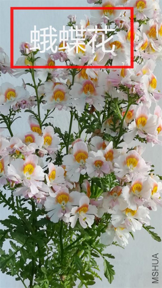 27��������ɫ.jpg
