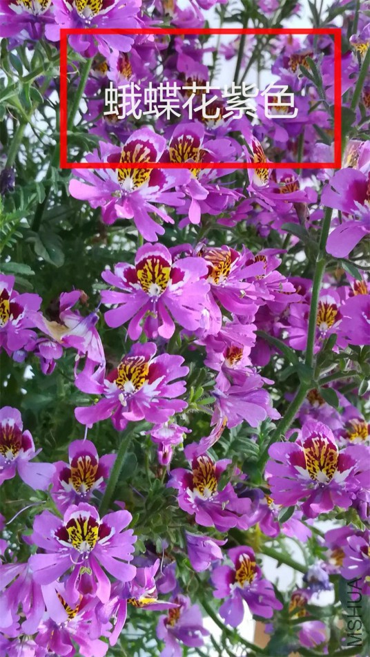 27�������ɫ.jpg