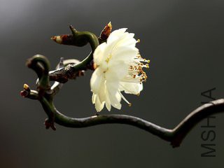 t019f40146e73bdf4e3.jpg