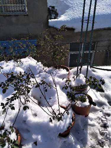 IMG20180109140801.jpg