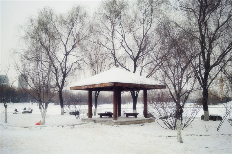 DSCN3700.jpg