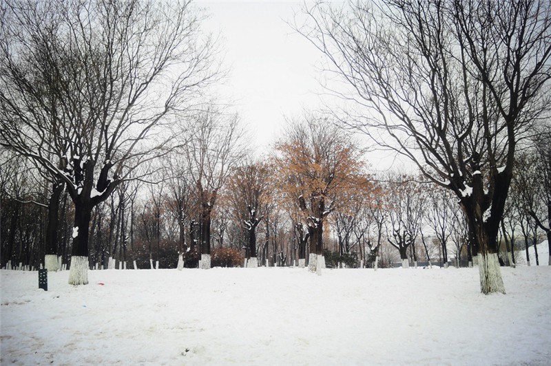 DSCN3702.jpg