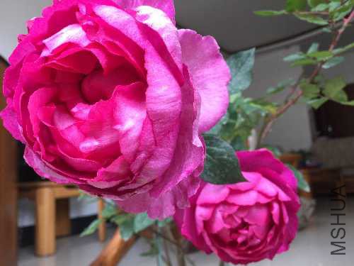 DB35B843-F9DD-4A63-A6AD-B45C45117EB8.jpeg