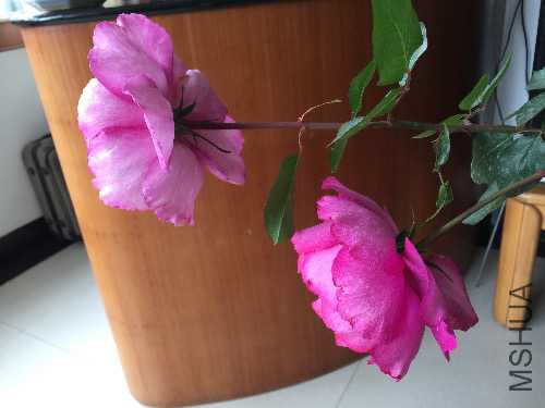 B75F17FD-9060-4D1E-B62D-906C1BE92D73.jpeg