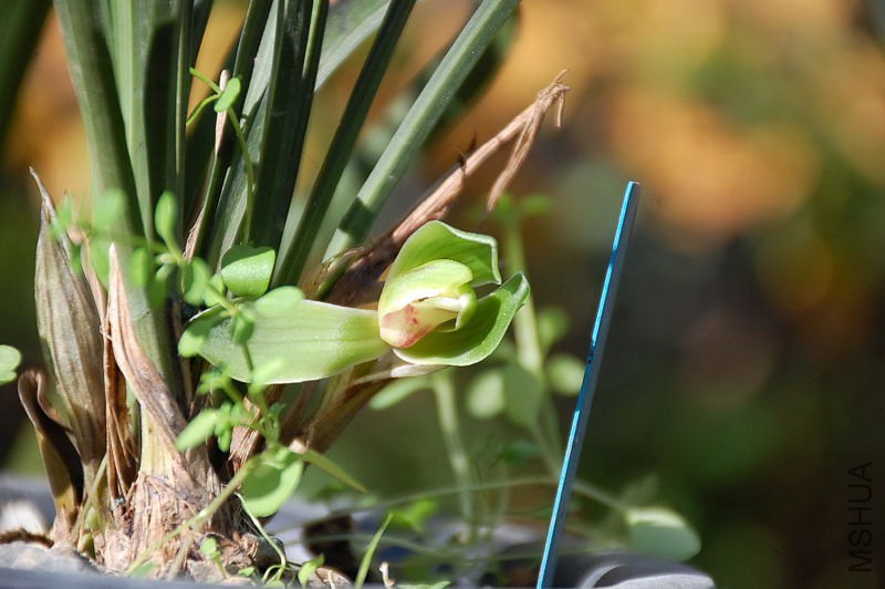 DSC_71230107.JPG